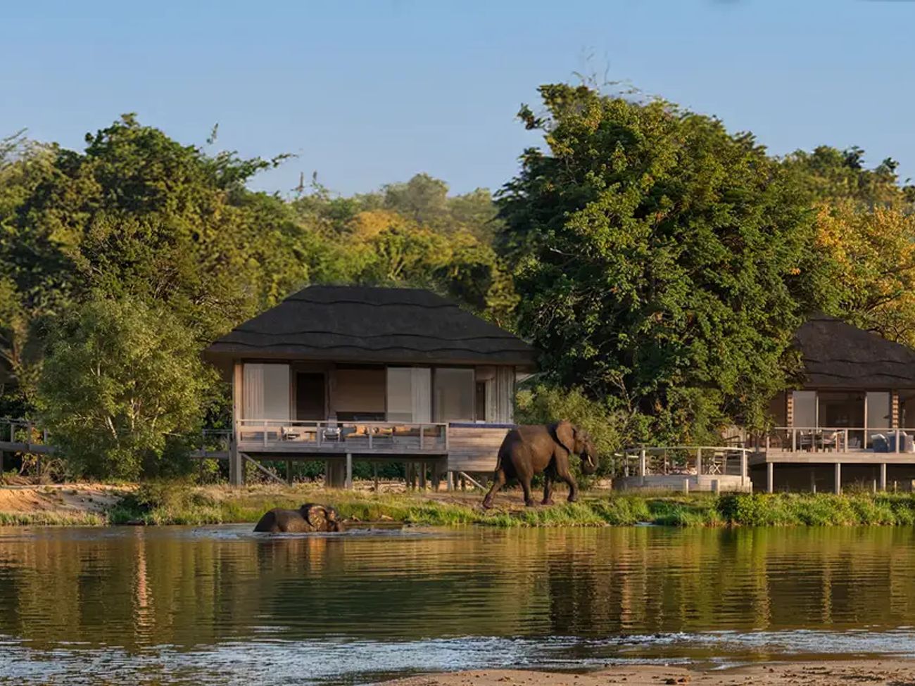 Ulusaba Safari Lodge