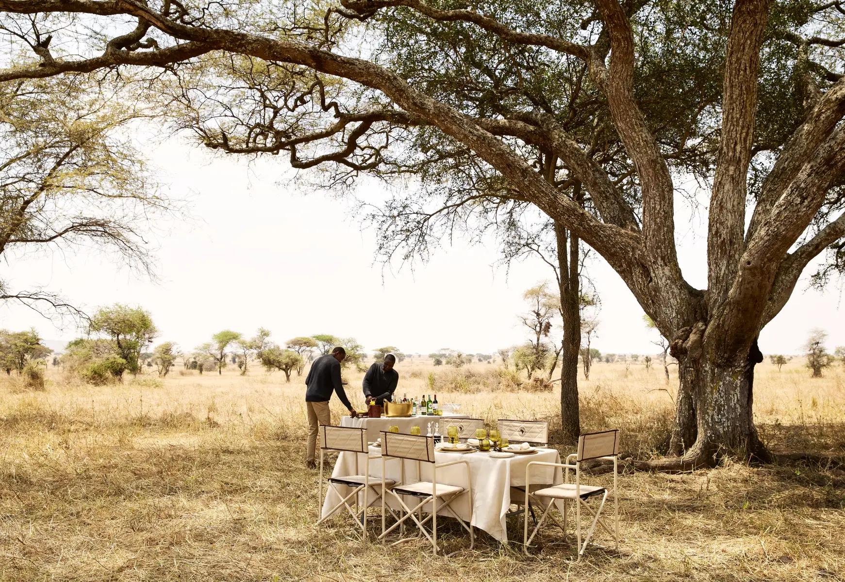 LABA Out of Africa