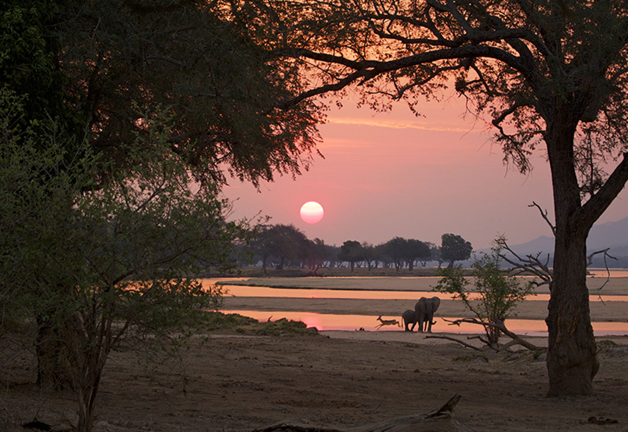 Nadia's Magical Safari in Zimbabwe