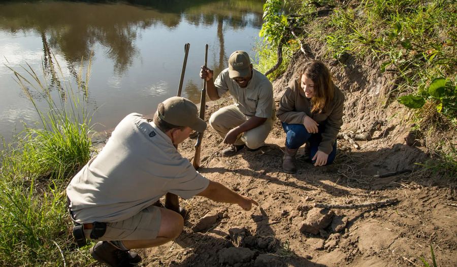8-Day All-Inclusive Kruger to Mozambique Fly-In Safari