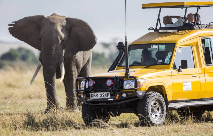 Photographic Safaris