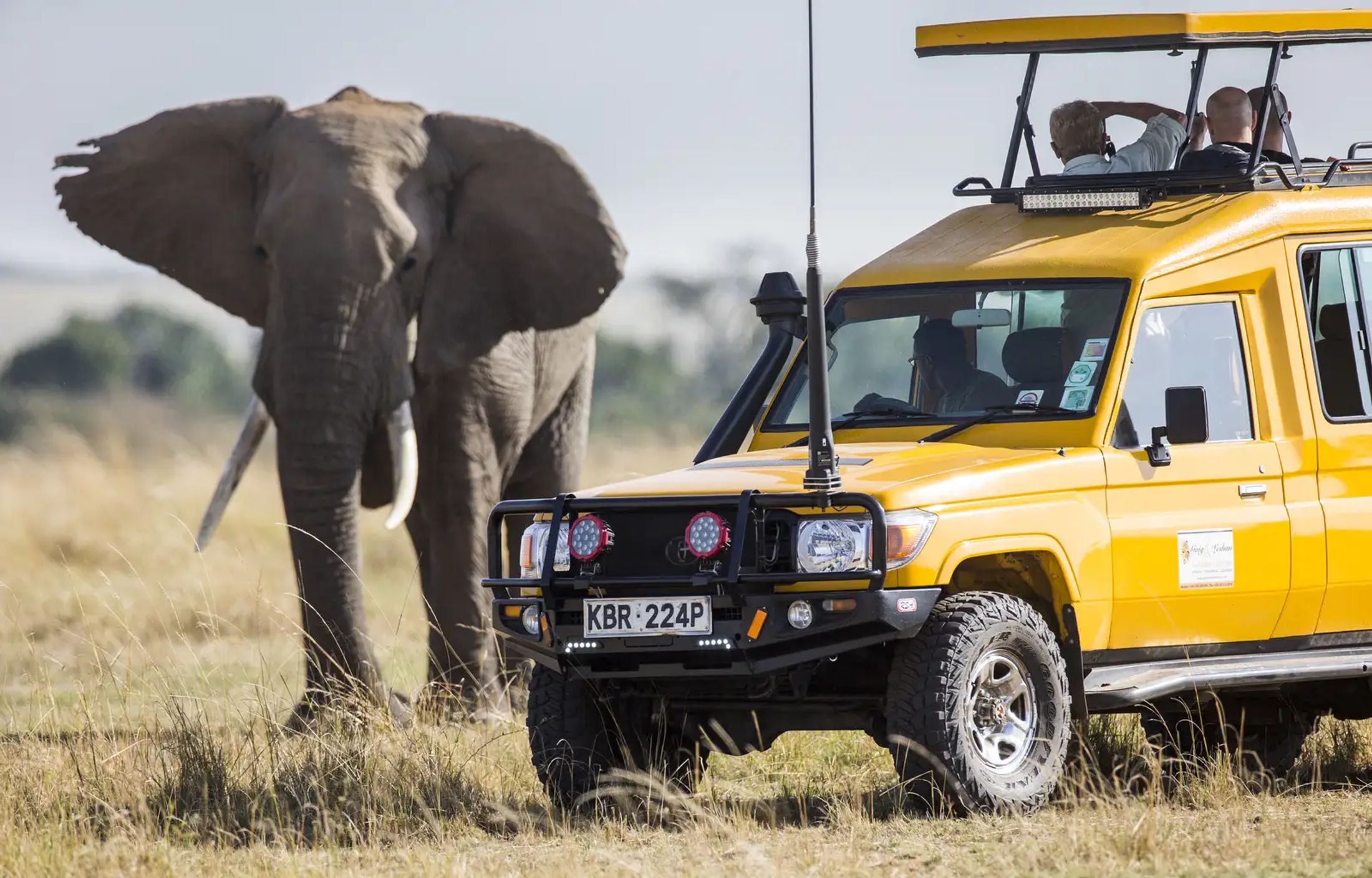 Photographic Safaris