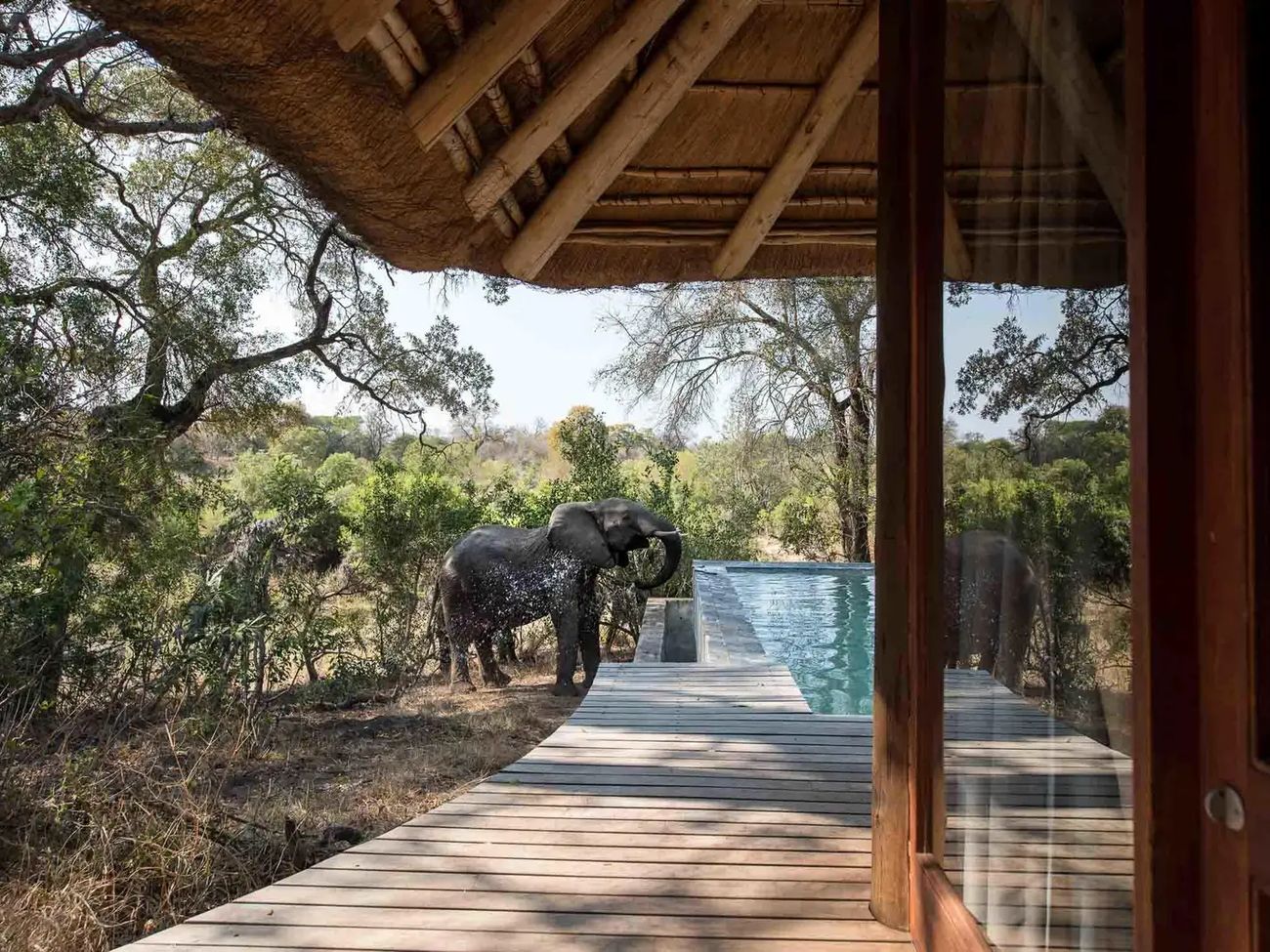 Dulini Leadwood Lodge