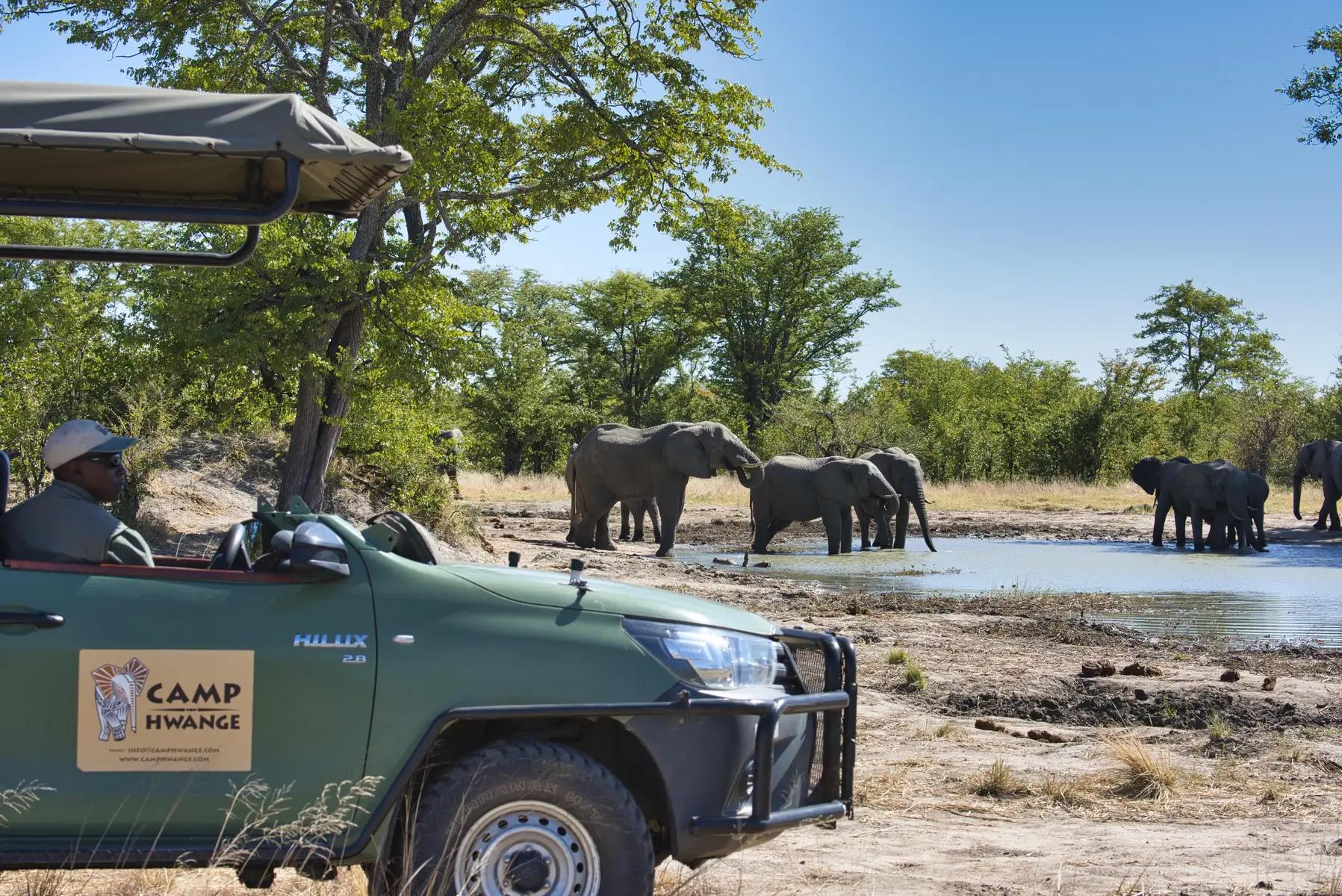 Camp Hwange