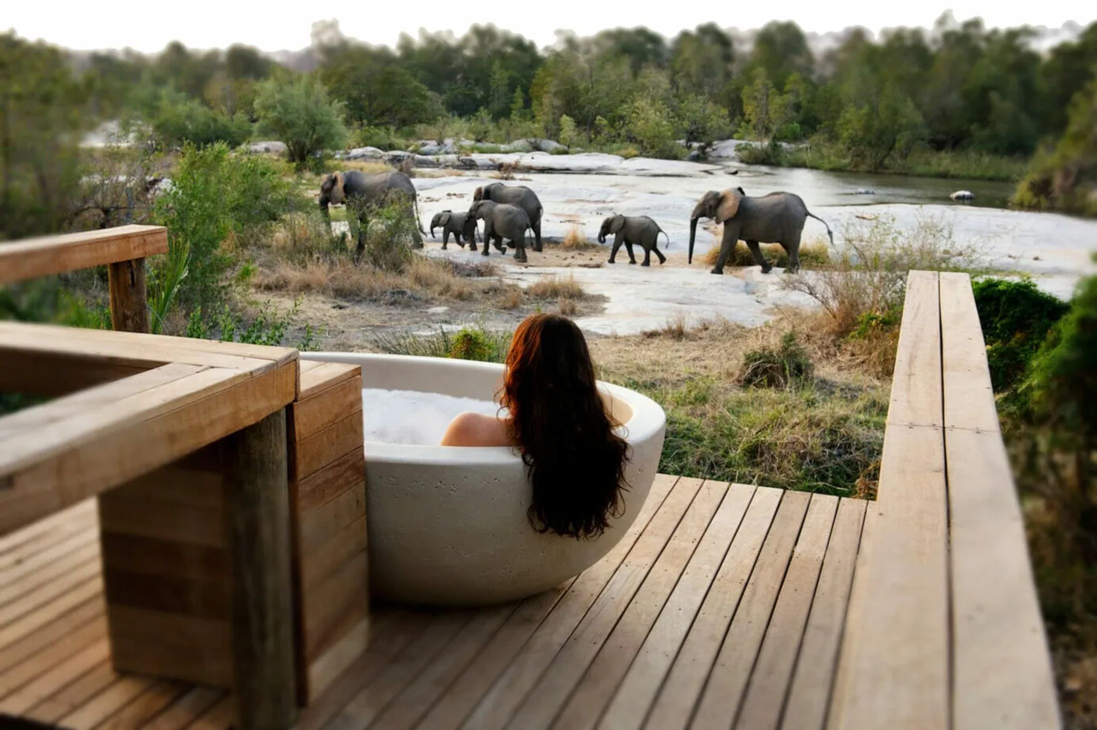 Honeymoon Safaris