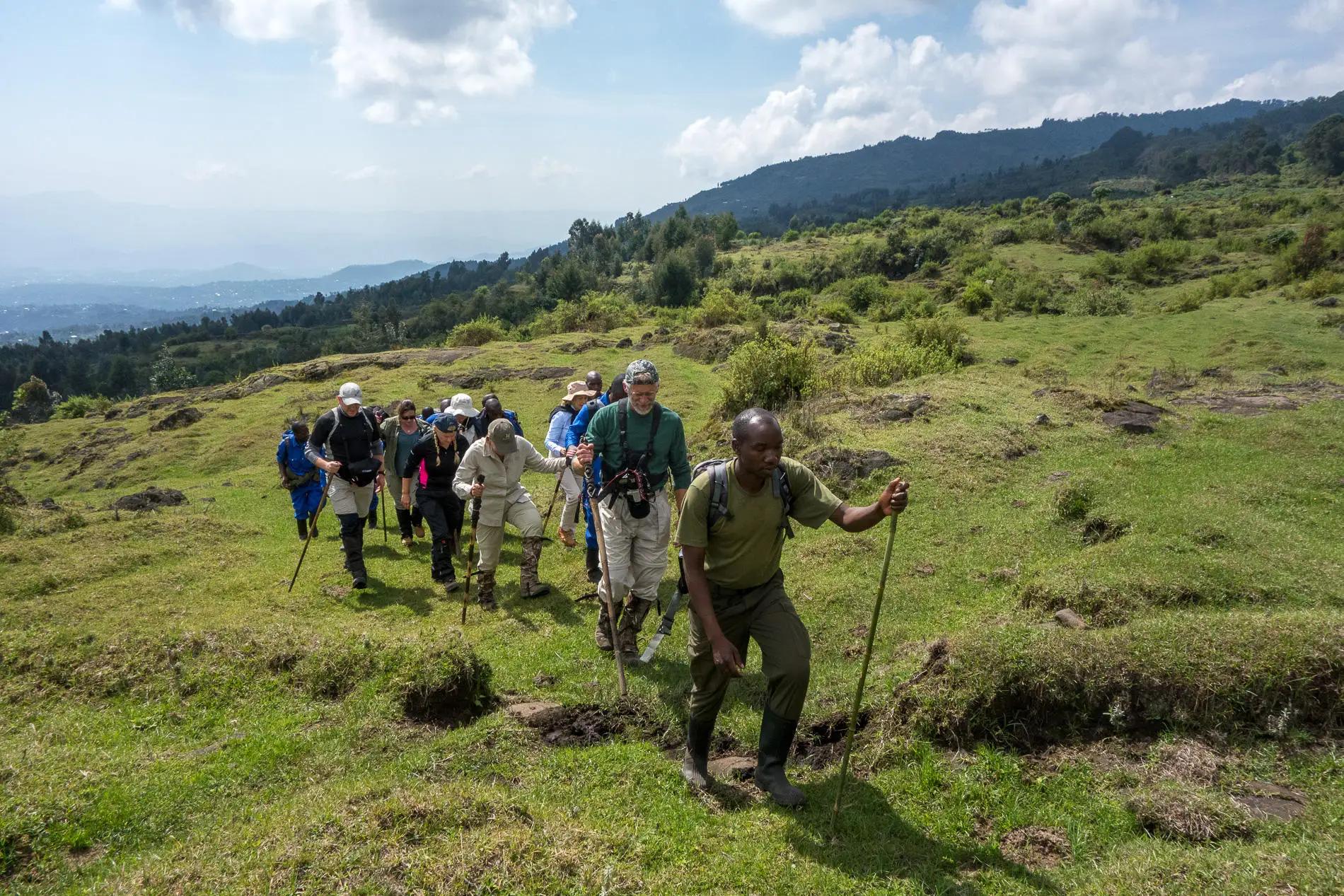 Wilderness Bisate Lodge 