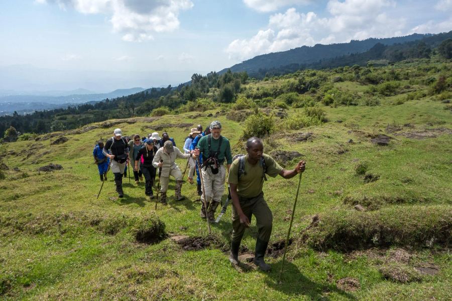 Wilderness Bisate Lodge 