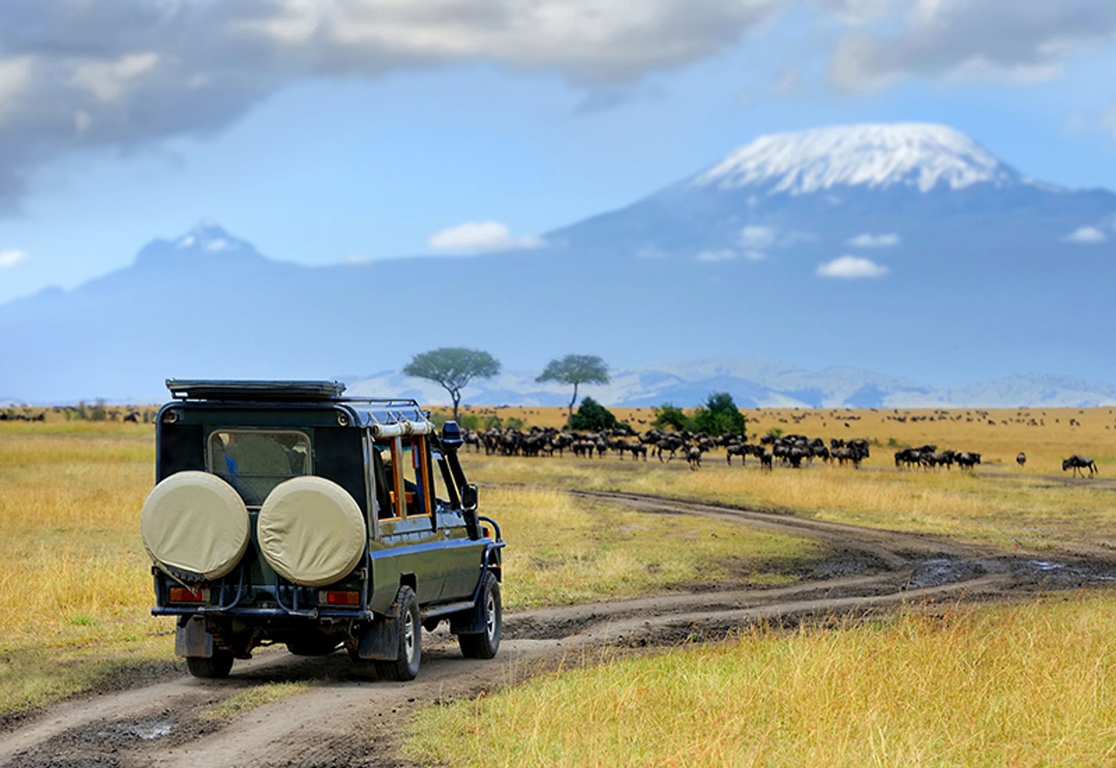 What to Expect on a Family Vacation in Kenya
