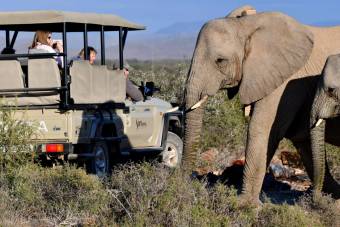 3-Day BIG 5 Safari near Cape Town