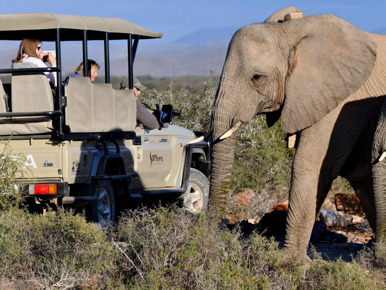 3-Day BIG 5 Safari near Cape Town