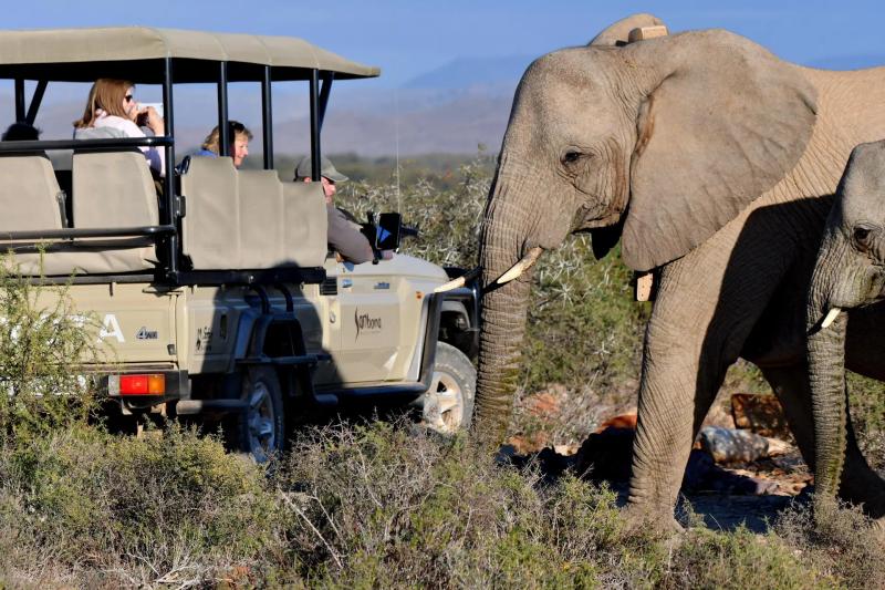 3-Day BIG 5 Safari near Cape Town