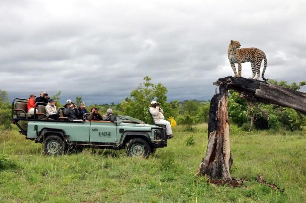 5 Day Luxury Kruger Park & Sabi Sand Safari 