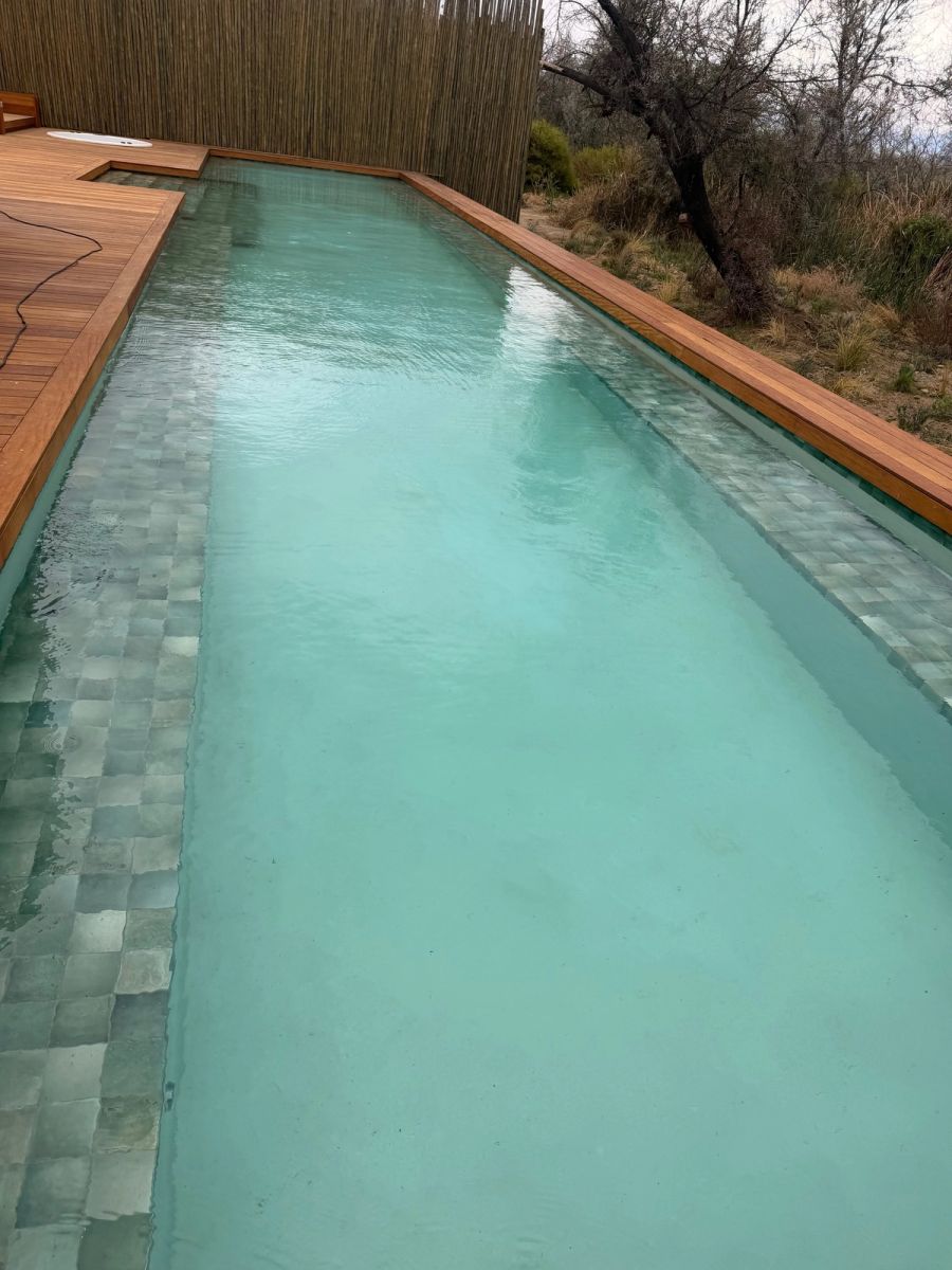 Long pale-green pool set into a timber deck with a reed privacy screen and Karoo bush alongside at Kuganha