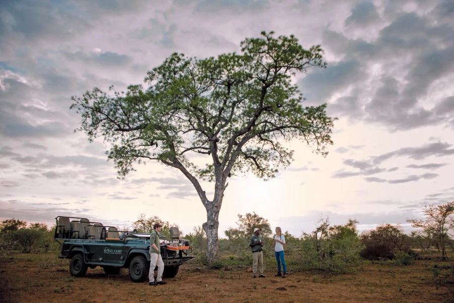 10-Day Kruger to Cape Luxury Safari