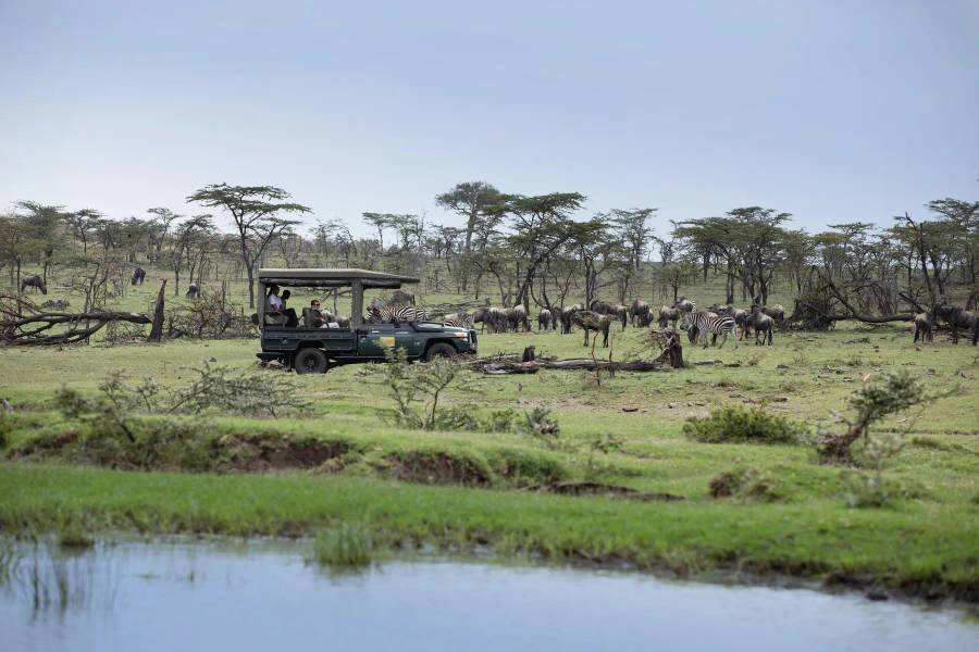 Great Migration