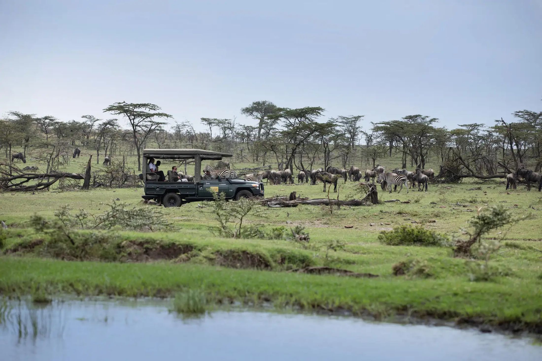 Great Migration
