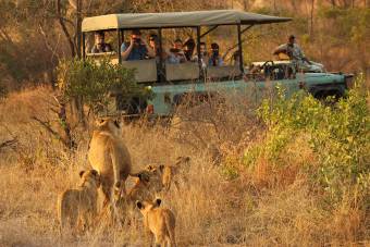 7-Day Ultra Lux Big-5 Sabi Sand & Kruger Park Safari