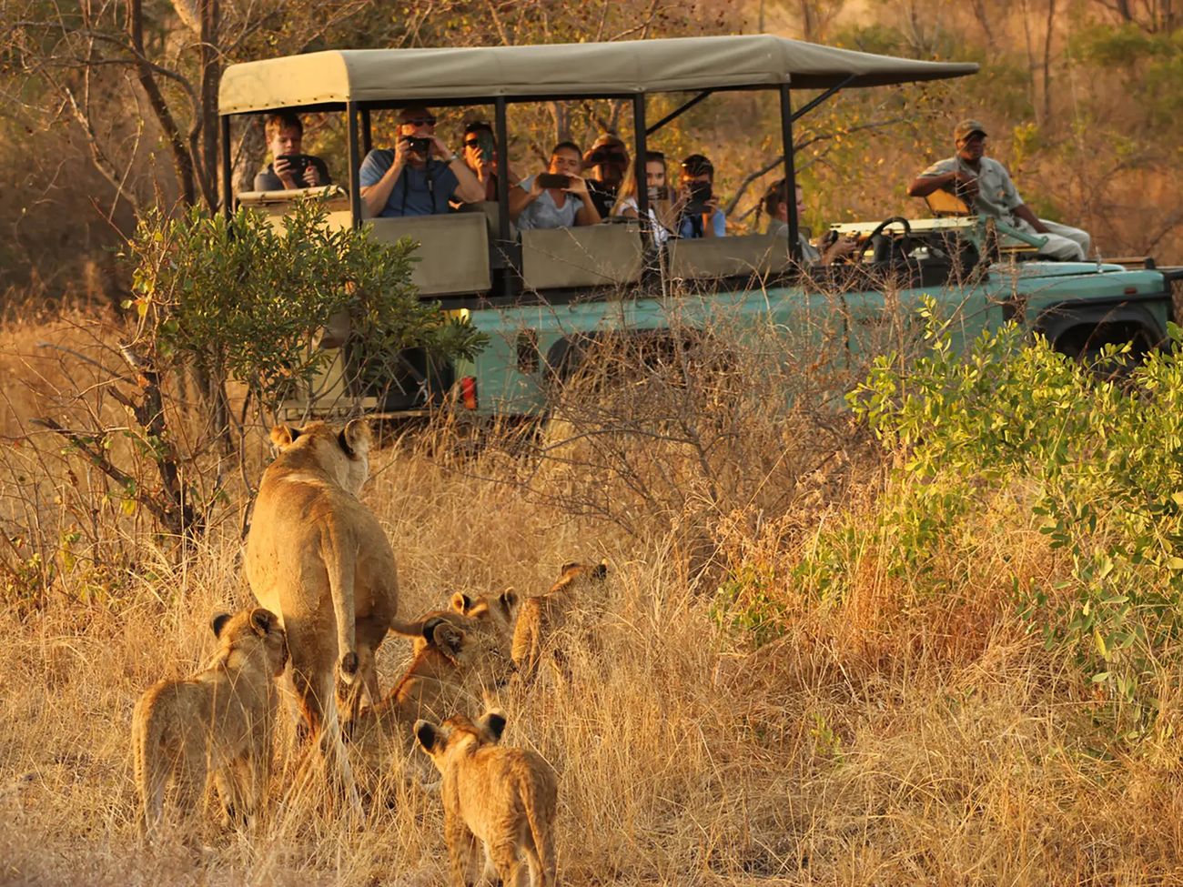 7-Day Ultra Lux Big-5 Sabi Sand & Kruger Park Safari