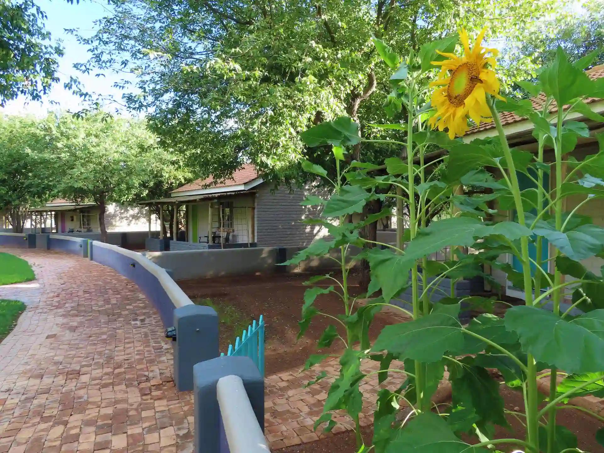 Damara Mopane Lodge