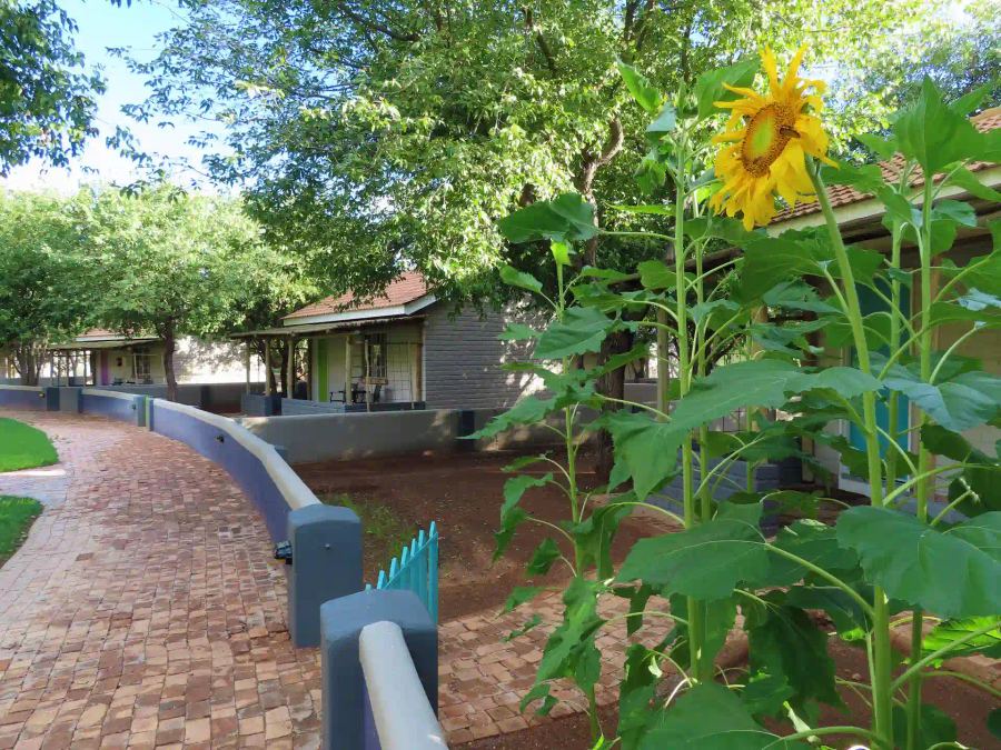 Damara Mopane Lodge
