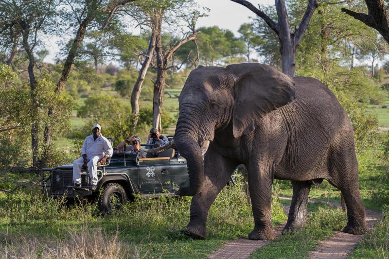 7-Day Ultra-Lux Cape Town and Londolozi Combo