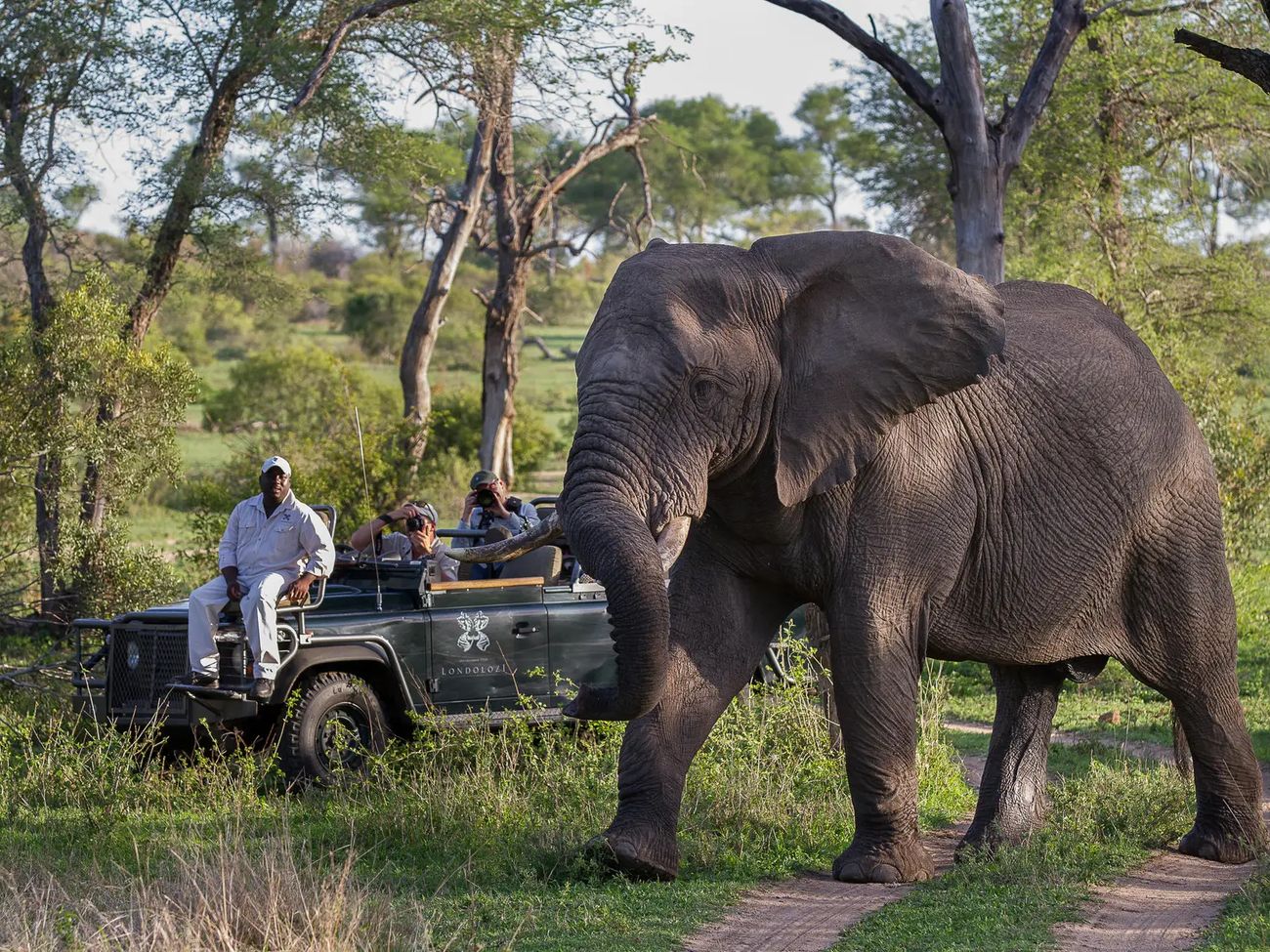 7-Day Ultra-Lux Cape Town and Londolozi Combo