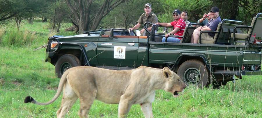 Mabula Game Reserve