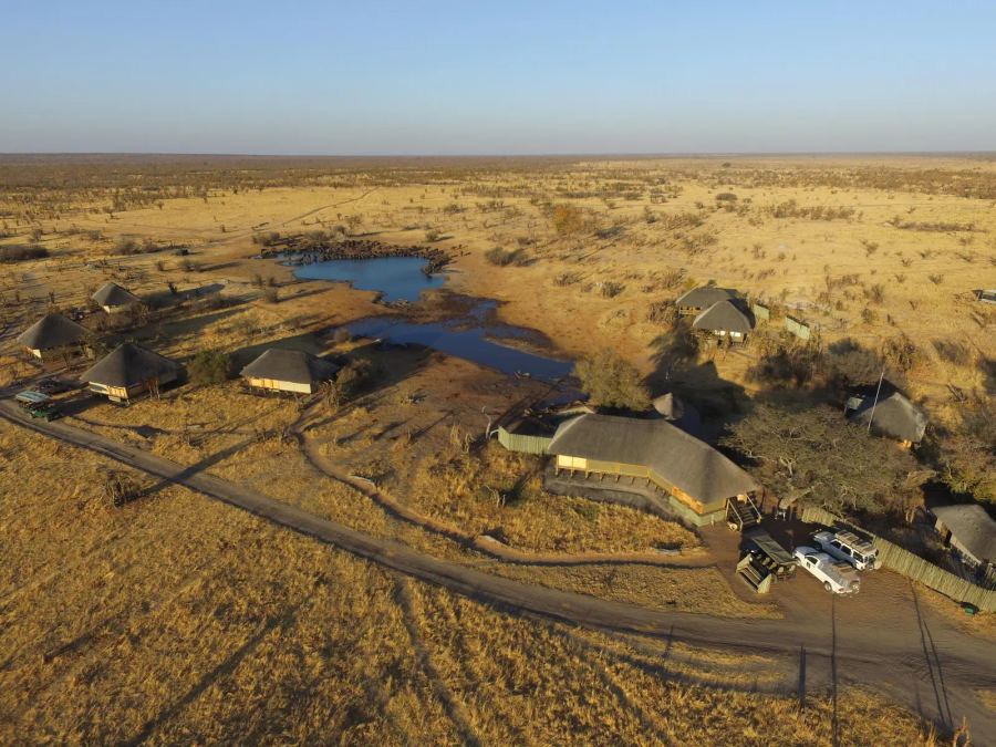 5-Day Hwange Safari Experience