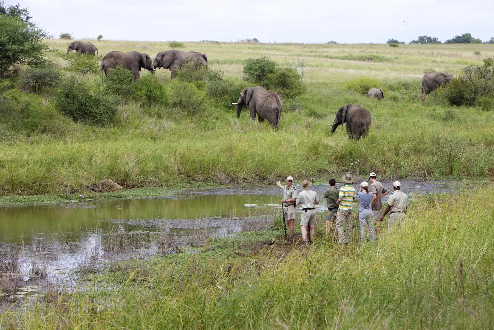 3 Day Kapama Fly-In Safari 