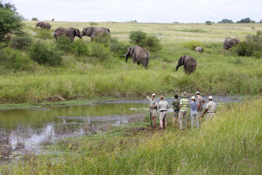3 Day Kapama Fly-In Safari 