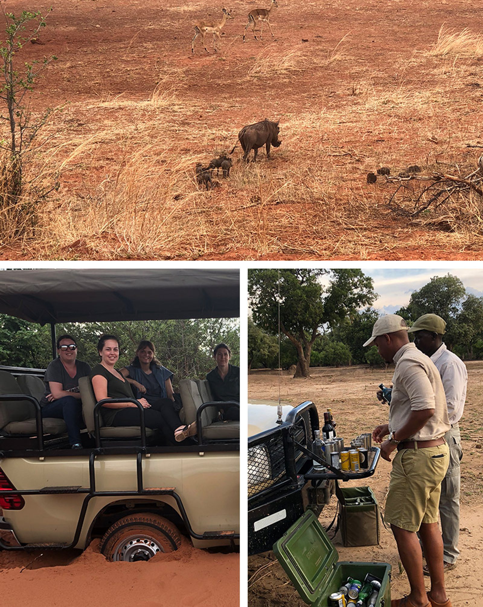 Safari in Zimbabwe - Bumi Hills