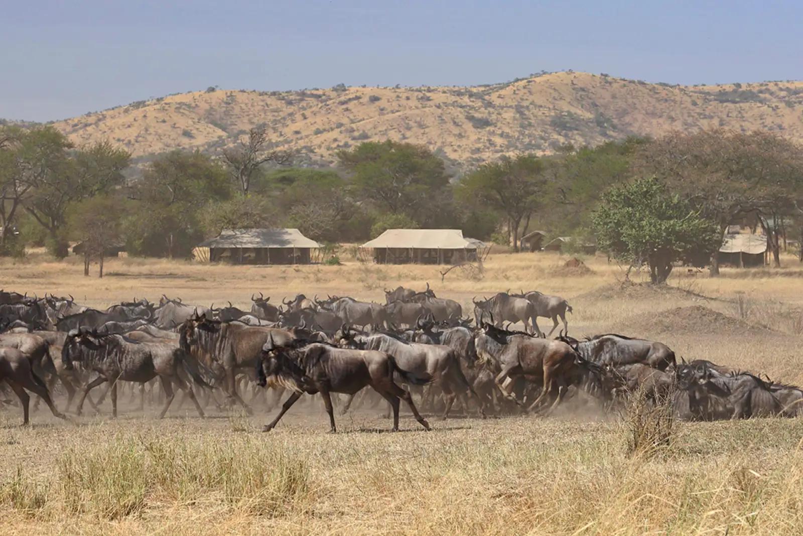 Ubuntu Migration Camp
