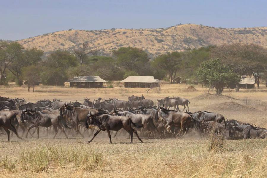 Ubuntu Migration Camp