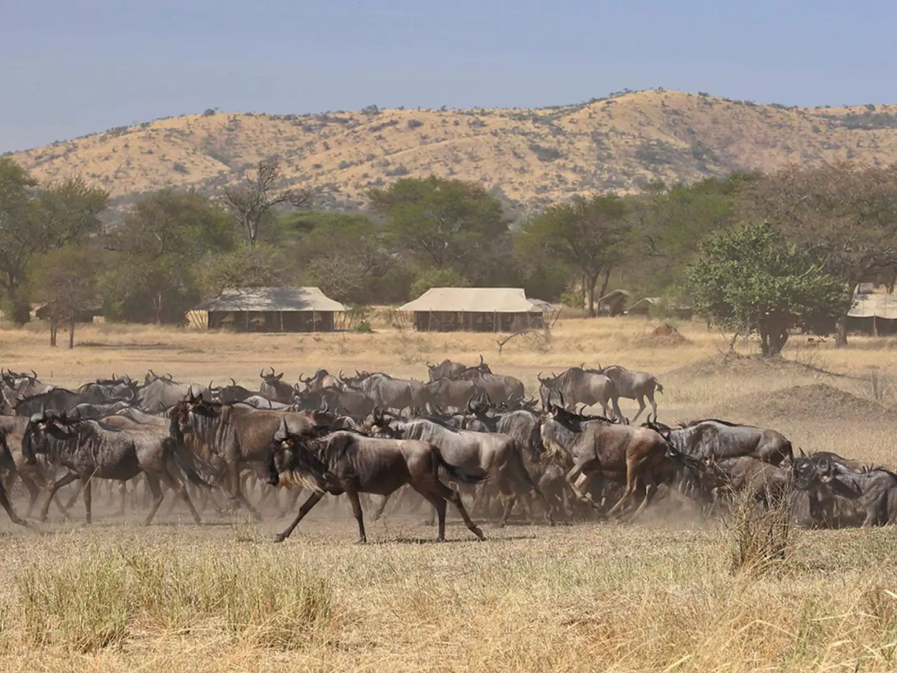 Ubuntu Migration Camp