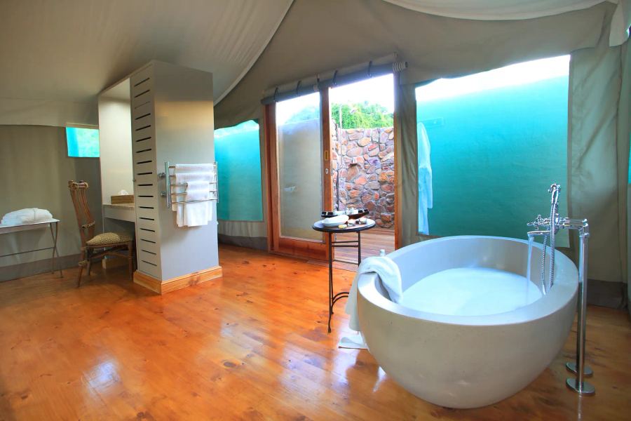 4-Day Malaria-Free Botlierskop Safari