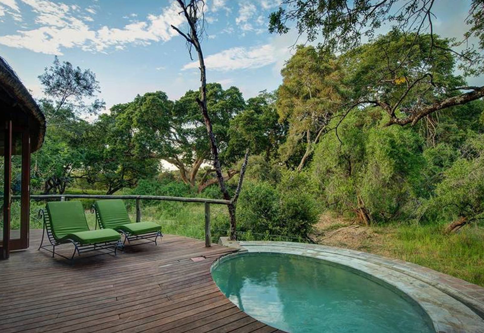 Tinstswalo Safari Lodge Private Plunge Pool
