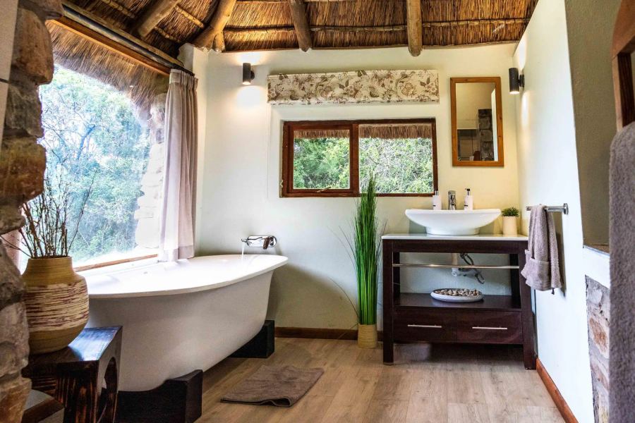 7-Day Malaria Free Big-5 Amakhala Safari Best of Both
