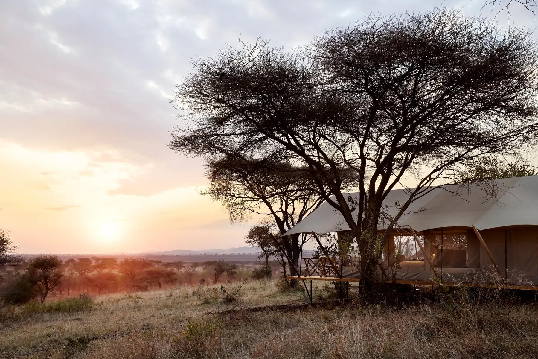 LABA Out of Africa