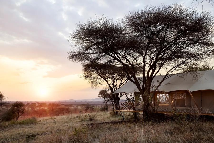 LABA Out of Africa
