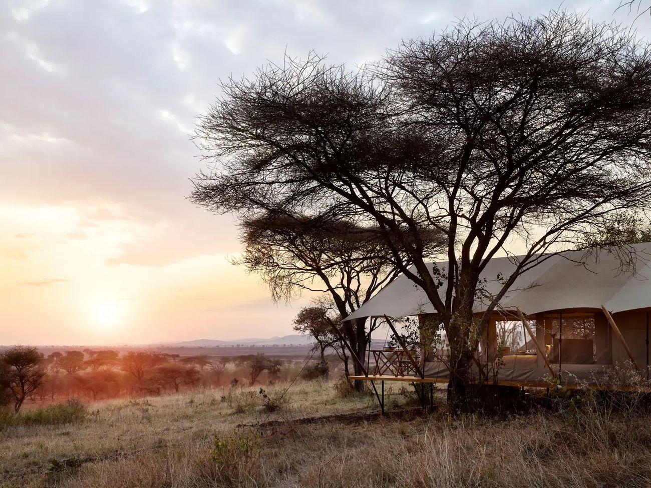 LABA Out of Africa