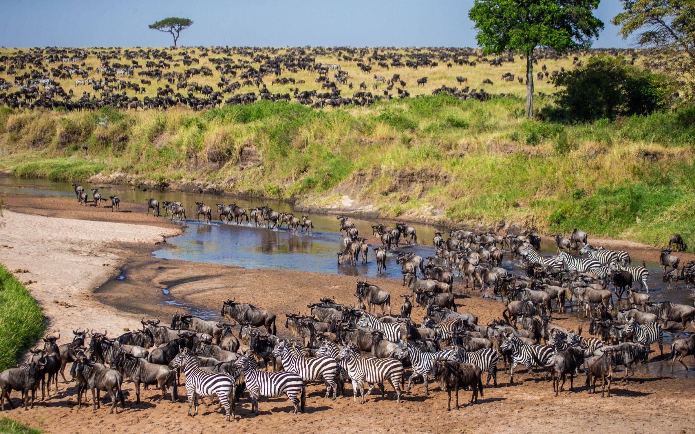 A Traveller's Guide to East Africa: Where and When to Travel