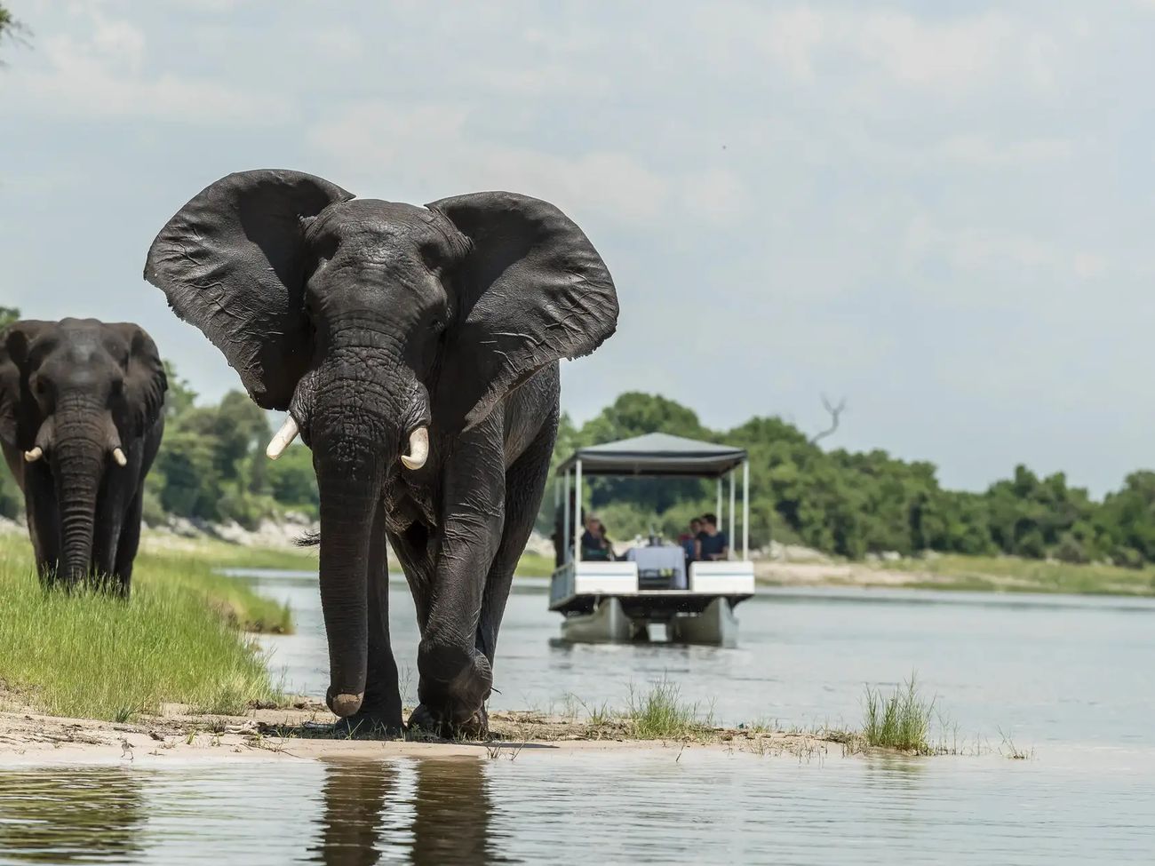 5-Day All-inclusive Luxury Western Chobe Safari