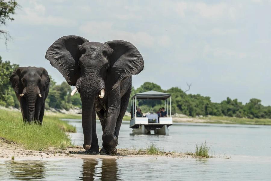 5-Day All-inclusive Luxury Western Chobe Safari