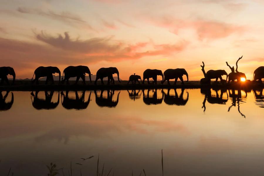 Jabulani Safari
