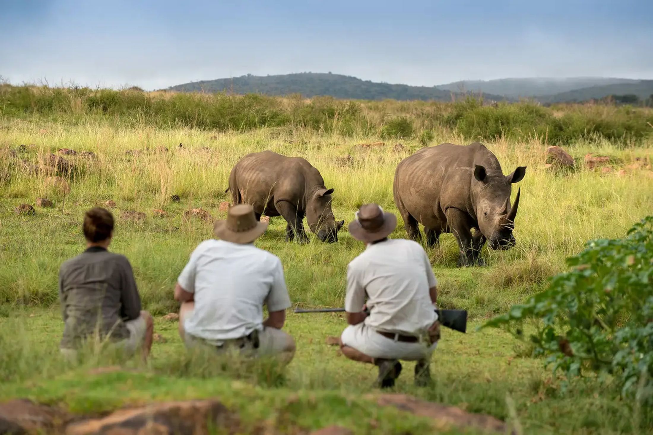 Walking Safaris