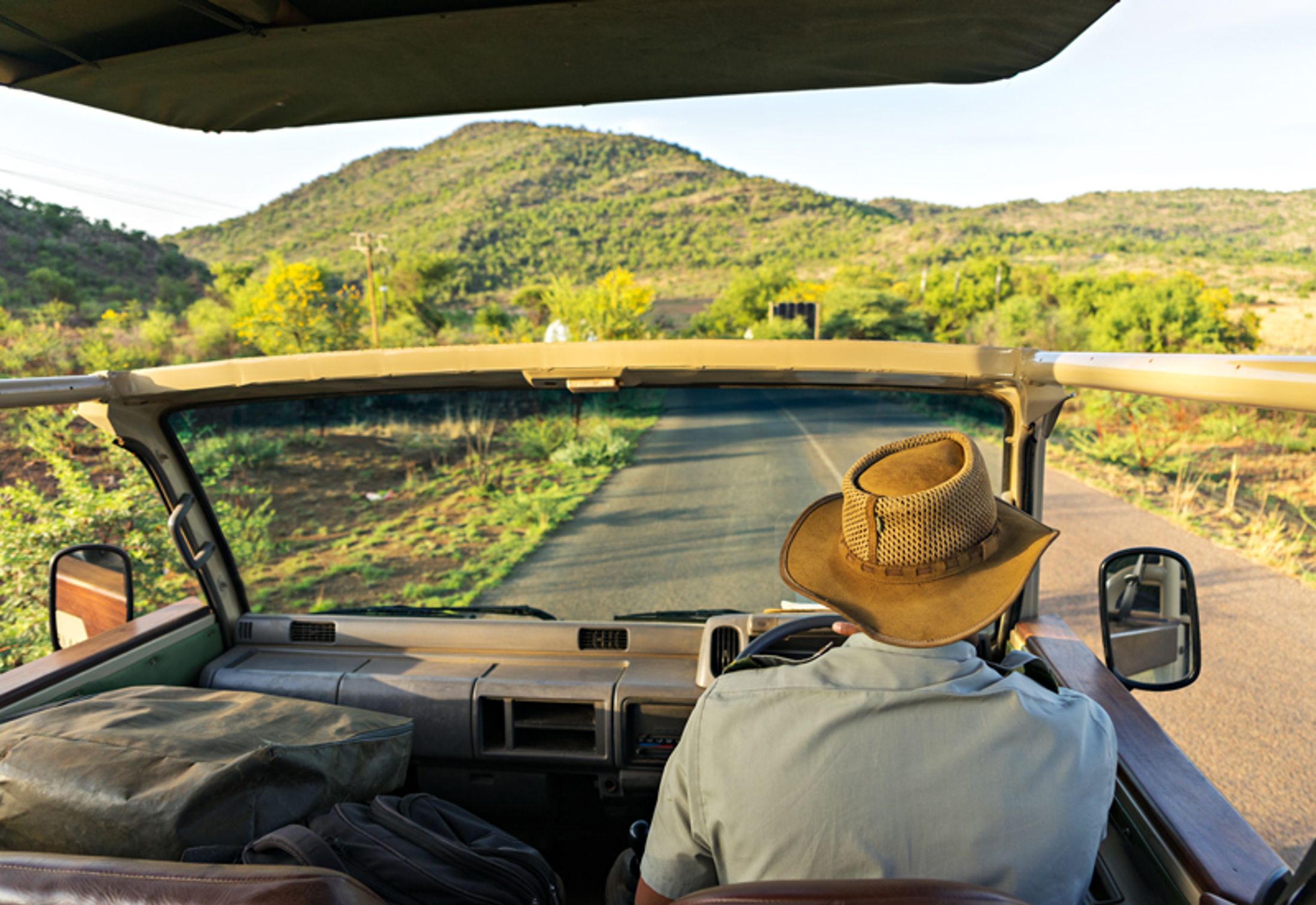 Southern vs East Africa: What to Expect on Safari