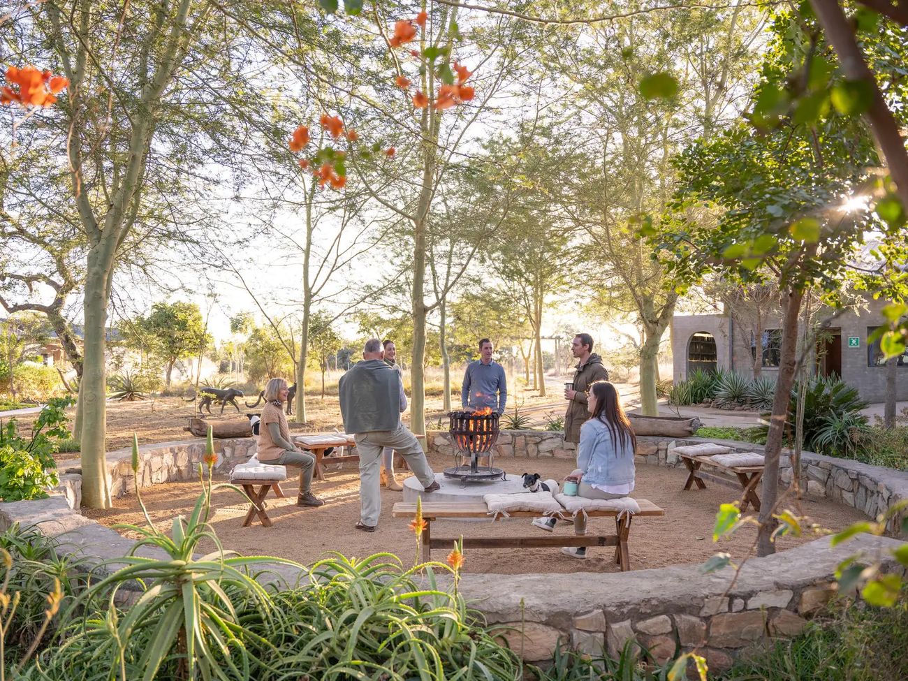 4-Day All Inclusive Walkers Plains Summer Safari