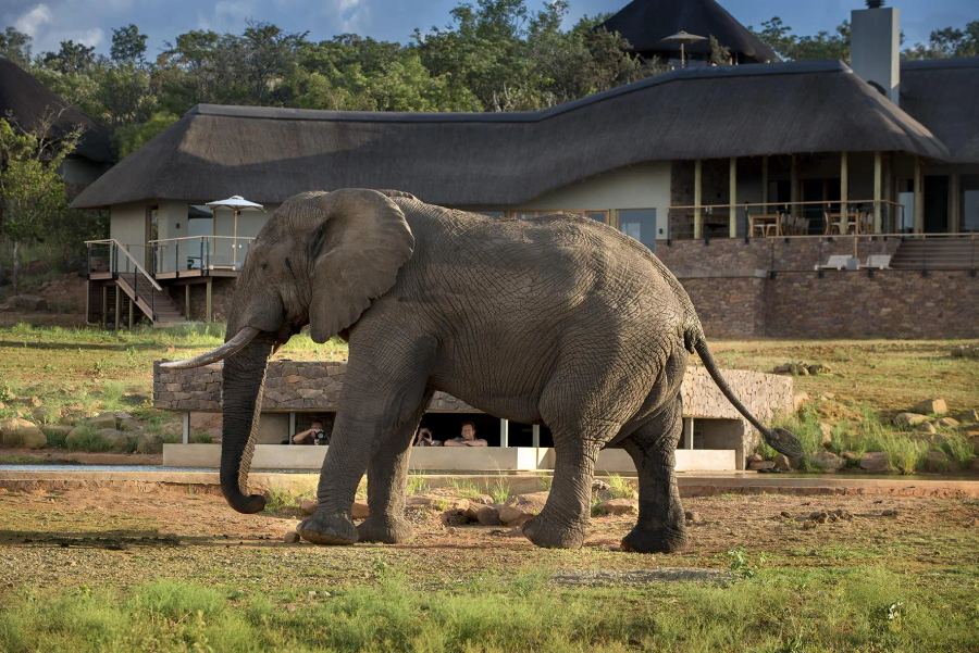 Mhondoro Safari Lodge