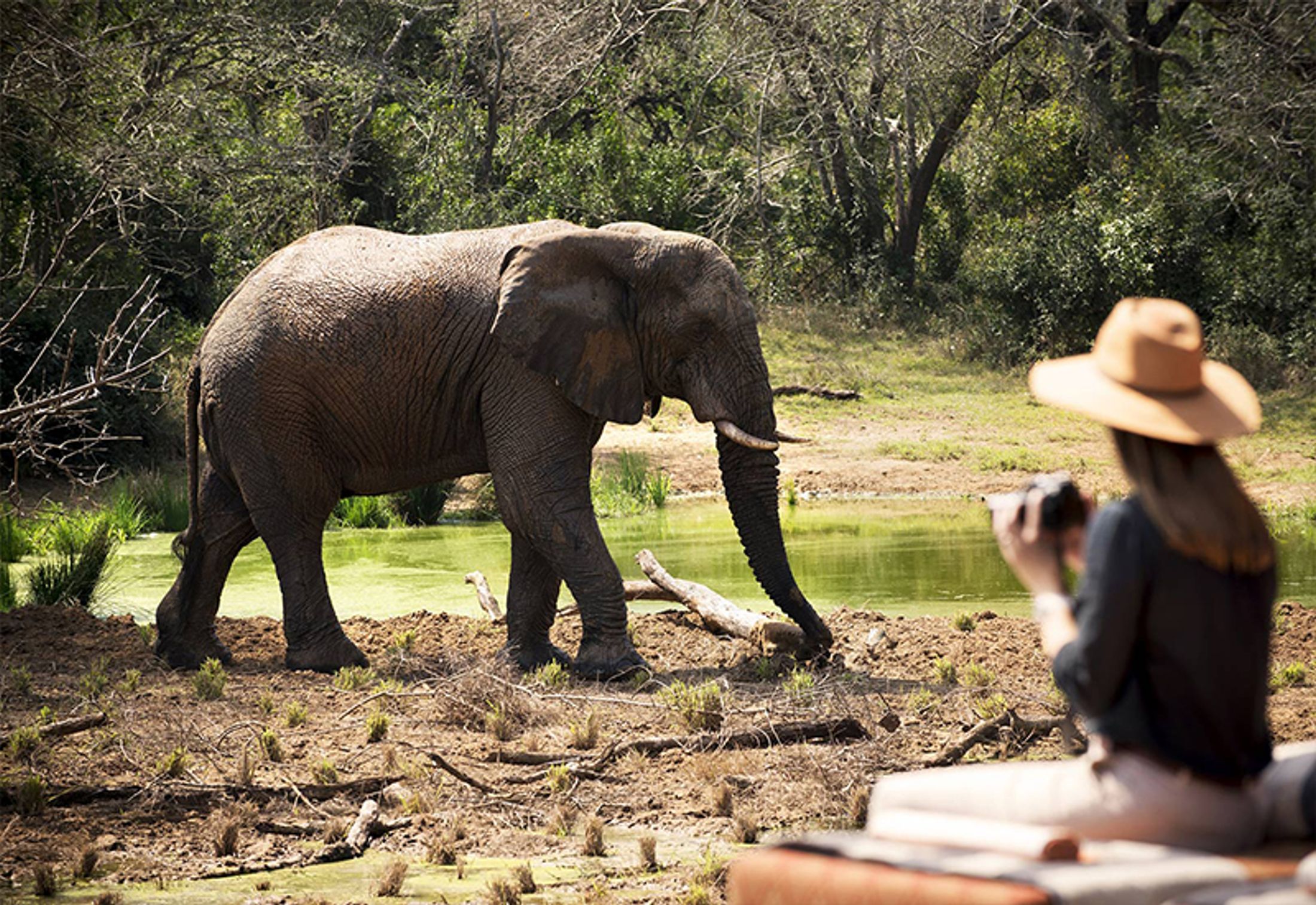 Our Top 10 Safari Journeys for 2019