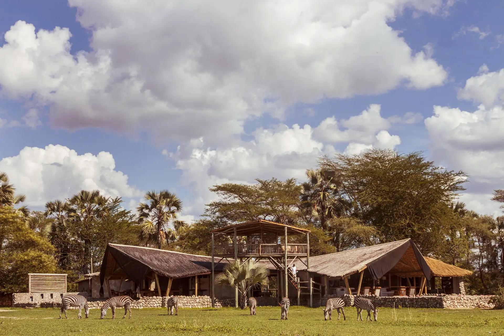 5-Day Ultra-Lux Fly-In Lake Manyara Safari